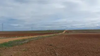 Camino entre las localidades de Roales del Pan y La Hiniesta donde es atacada la joven por una jauría de perros.