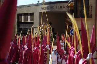 La Borriquita (14)