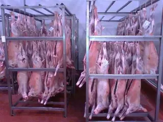La Interprofesional del ovino y el caprino pide controles férreos en el etiquetado de la carne de cordero