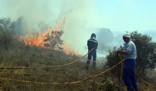 Incendio forestal. Archivo