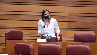 Ana Sánchez, representante socialista en las Cortes