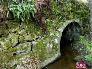 UPL, disconforme con la respuesta sobre los daños en el Puente Romano entre Palacios y Vime por la extensión de la fibra óptica