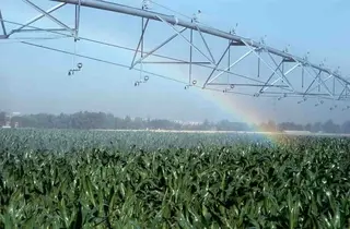 La estimación objetiva del IRPF relajará la presión fiscal al sector agrario en 2015