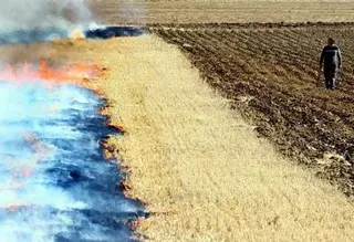 Quema de restos vegetales cumpliendo las medidas de prevención