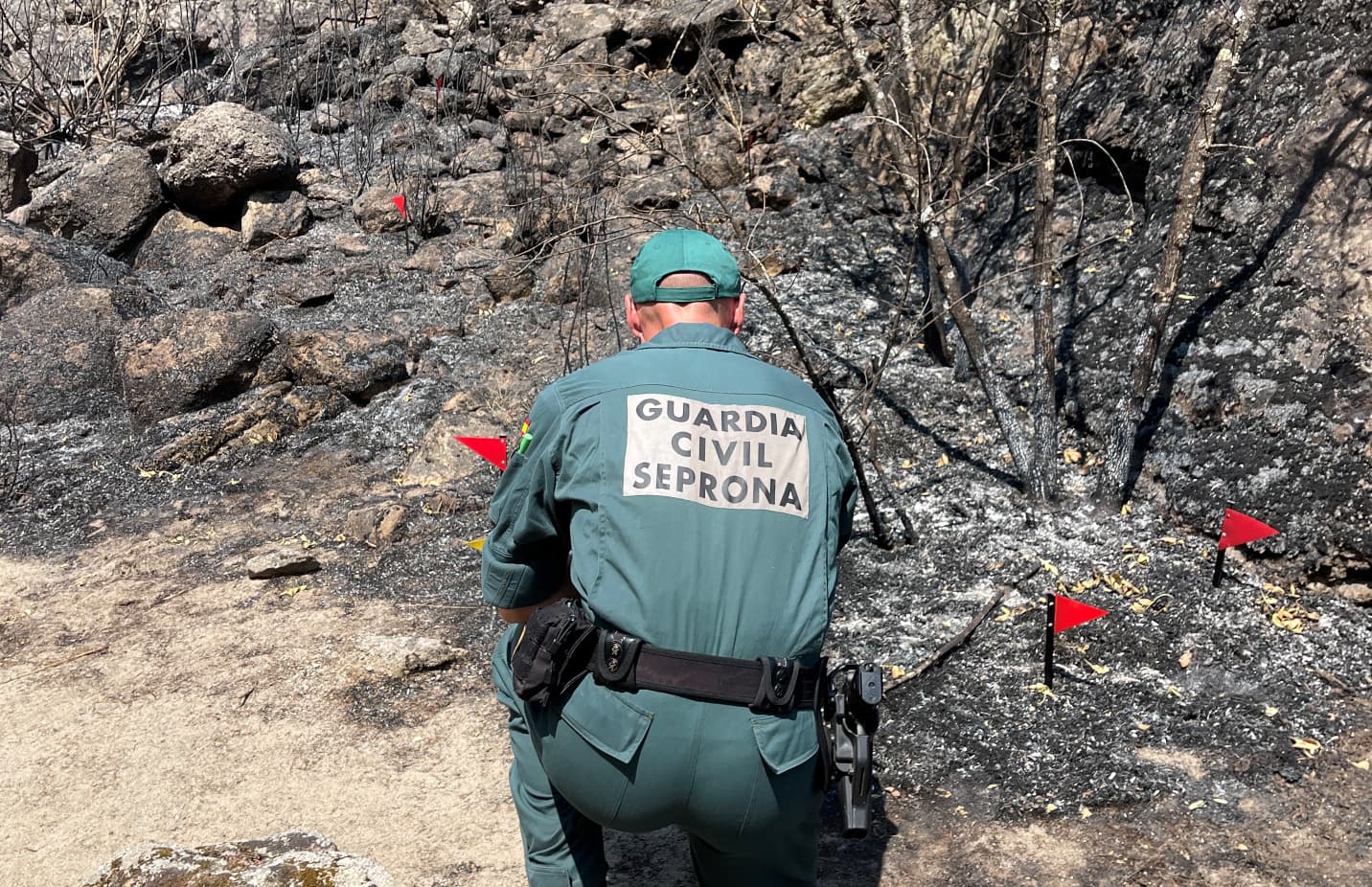 El Seprona De La Guardia Civil Investiga Las Causas Del Incendio De Fermoselle 2