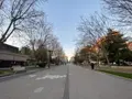 Otoño en Zamora. Archivo