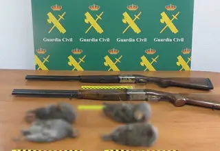 Material incautado por la Guardia Civil de Zamora