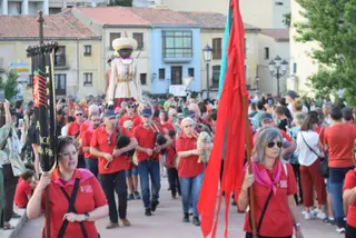 Desfile de peñas San Pedro 2023 (117)