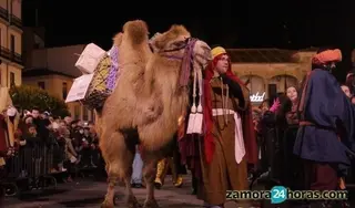 El Juzgado suspende cautelarmente la cabalgata de Reyes ante un recurso de un particular por el uso de animales
