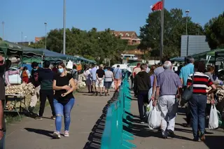 Feria ajo Ifeza