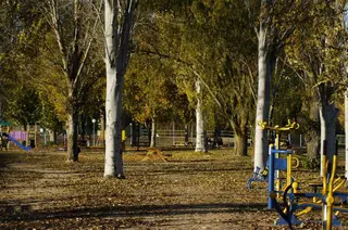 Parque Villaralbo. Archivo