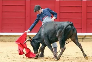 Treinta novilleros participarán en el Bolsín Tierras de Zamora 2017