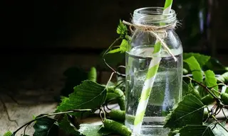 Agua de abedul