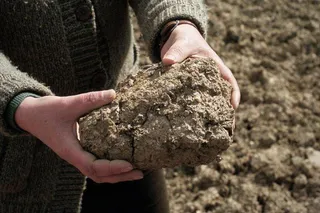 La Junta declara la campaña agrícola como excepcional y establece medidas urgentes de apoyo al sector