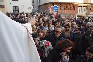 Bendición San Antón 2018 (123)