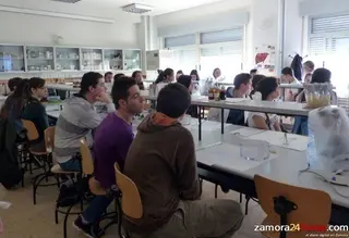 CCOO, UGT y STES denuncian problemas en la aplicación de la LOMCE