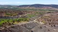 Imagen de un bosque dañado por el fuego