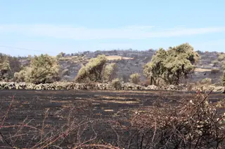 Incendio de Fermoselle. Paisaje calcinado tras el paso del fuego