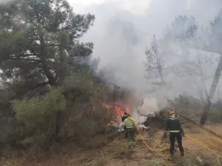 Imagen de los bomberos de Toro en la localidad de Losacio