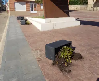 Vandalismo Roales del Pan