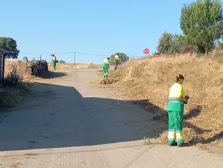 Imagen de la limpieza