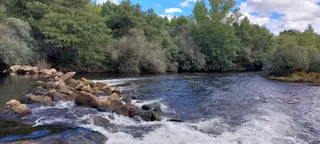 Río Tera