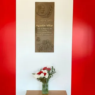 Flores bajo el relieve de Agustín Villar
