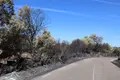 Una carretera afectada por un incendio este verano en Zamora. 