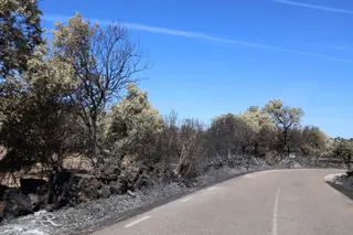 Una carretera afectada por un incendio este verano en Zamora. 