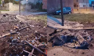 Vandalismo en Zamora: contenedores calcinados y árboles destrozados