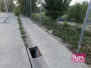 Imagen de las pistas