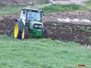Laboreo en el campo.ARCHIVO