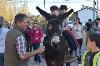 Los niños, protagonistas de la ruta senderista con burros
