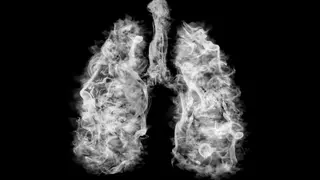 Imagen de unos pulmones llenos de humo OCU