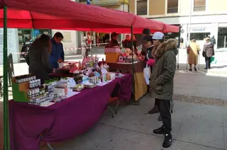 Mercado ecologico zamora febrero 18