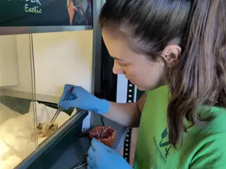 Un Centro de Recuperación de Animales Silvestres. Archivo