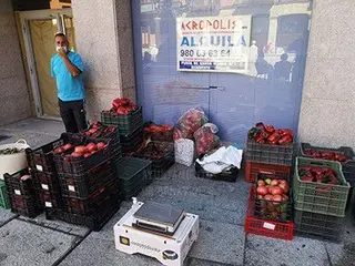 Pimientos benavente (4)