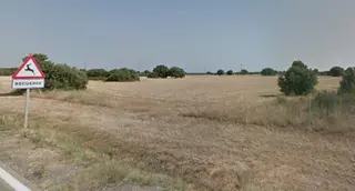 Imagen de una señal de peligro de fauna en la N 631