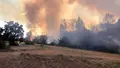 Incendio Forestal. Archivo