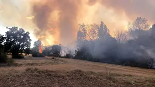 Incendio Forestal. Archivo