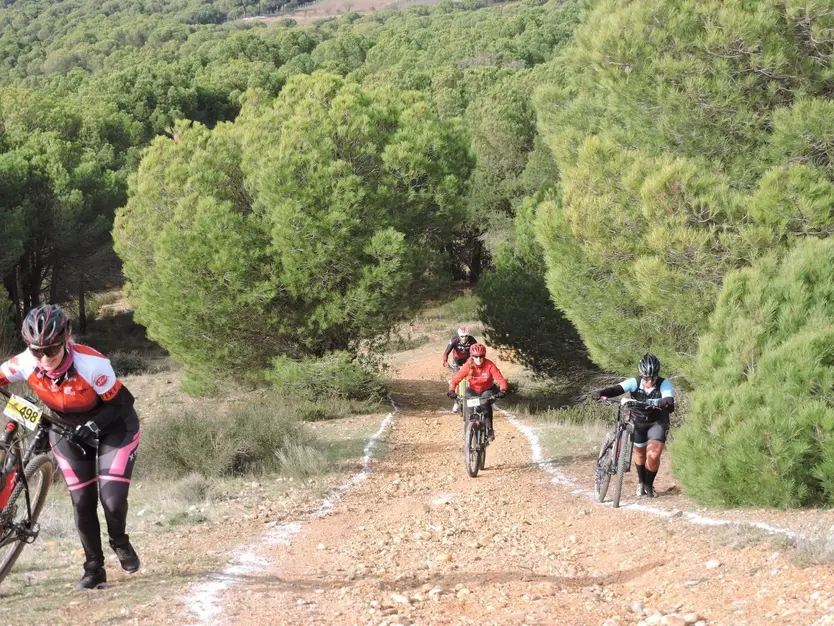 Uno de los tramos más exigentes del circuito