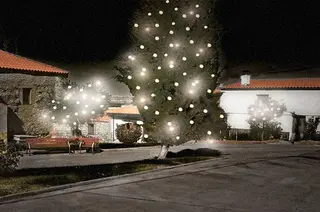 Luces navideñas en Carrascal. Archivo