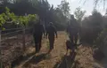 Imagen de un operativo de búsqueda en la provincia de Zamora-Archivo
