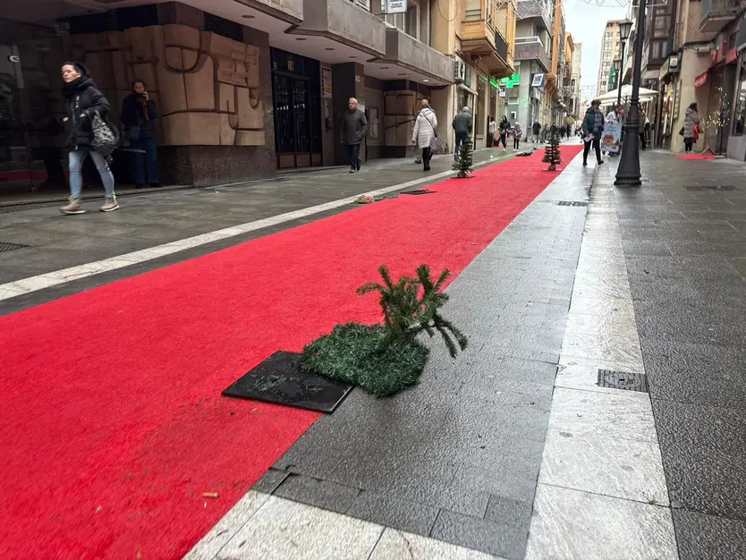 Vandalismo. Arbolitos destrozados en la calle San Torcuato