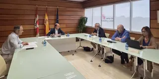 Reunión laboratorios vacunas newcastle 