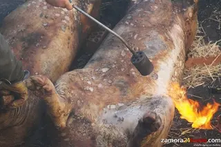 Este fin de semana se intensifican las matanzas domiciliarias en la provincia