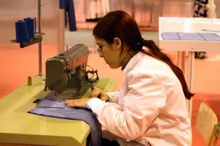 Seguridad Social. Afiliados en Zamora