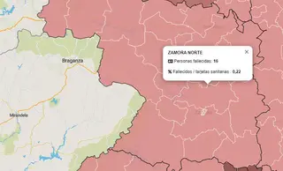 Mortalidad por zonas mapa