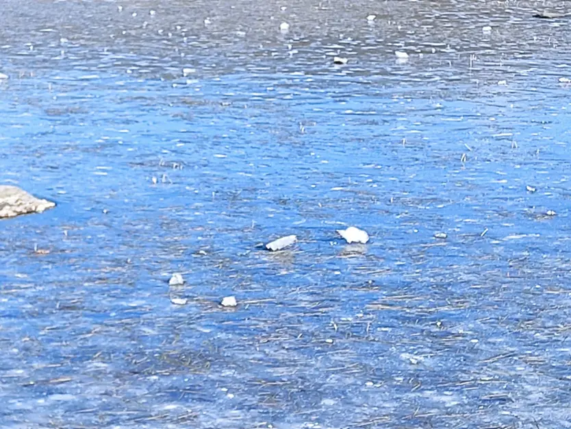 La Laguna de Peces, parcialmente congelada este miércoles (1)