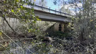 Puente sobre el Tera